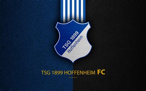 tsg hoffenheim football club